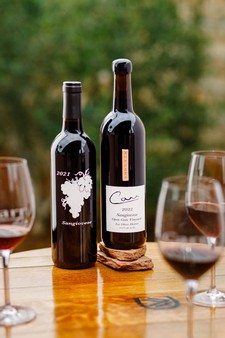 Taste of Italy ~ Holiday Gift Pack 1