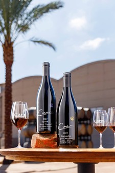 Lyons Vineyard Duo ~ Holiday Gift Pack 1